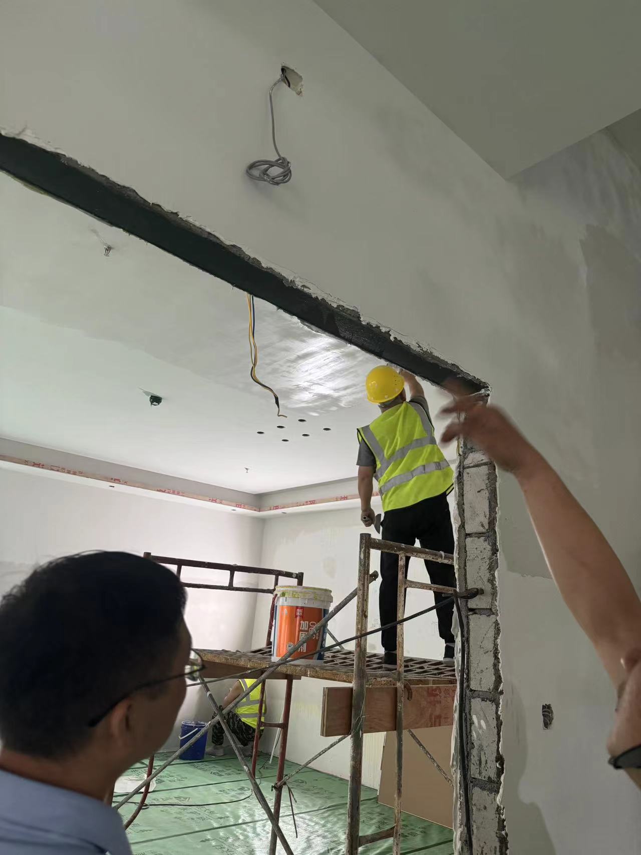 广龙鑫：绝密实验！宠物监控竟成“隐形杀手”，百万猫狗受害
